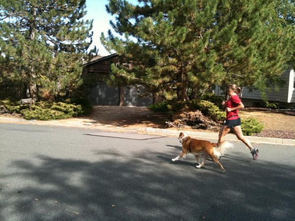Zola (dog) out for a run