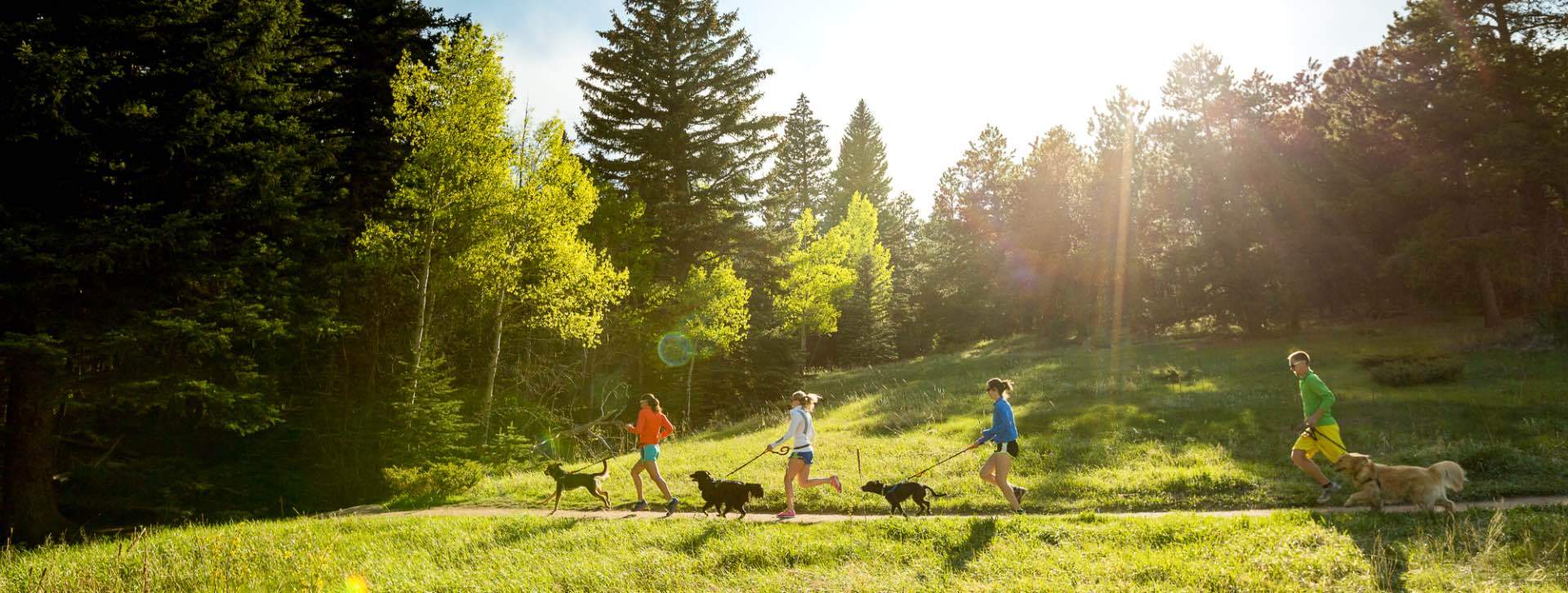 Iron Doggy Running with Dogs