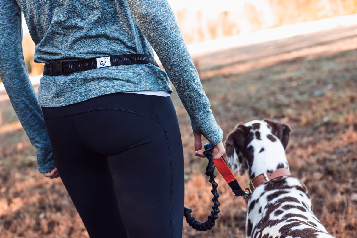 Extra Iron Doggy™ Belt