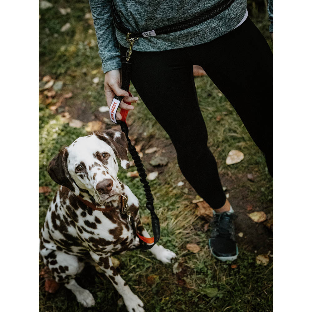 SideKick Hands-Free Dog Leash (with Belt)