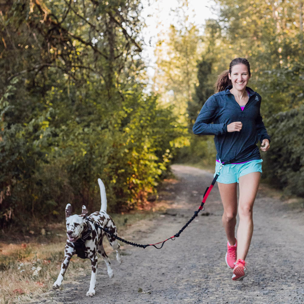 Runner&#39;s Choice Hands-Free Dog Leash (with Belt)