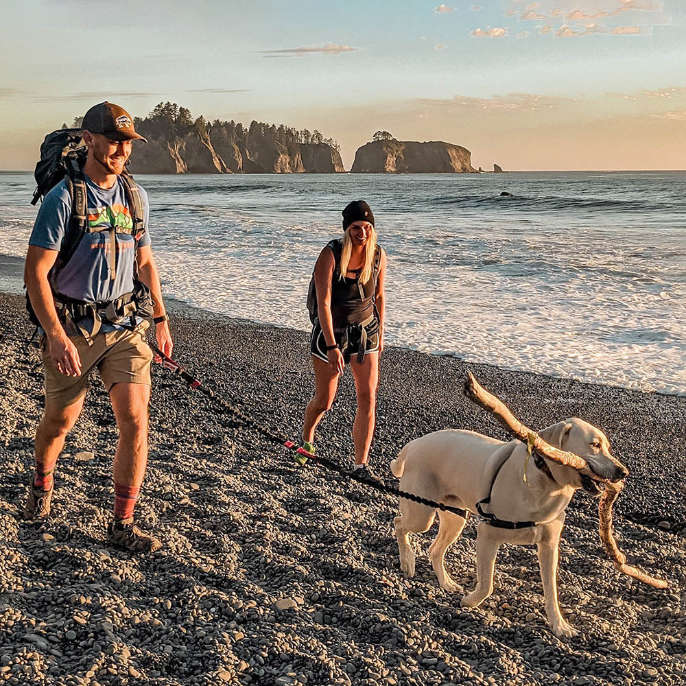 Runner&#39;s Choice Hands-Free Dog Leash (with Belt)