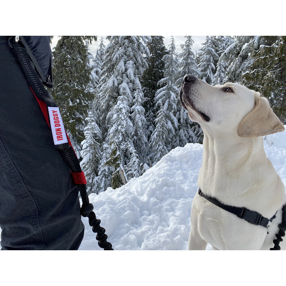 Runner&#39;s Choice Hands-Free Dog Leash (with Belt)