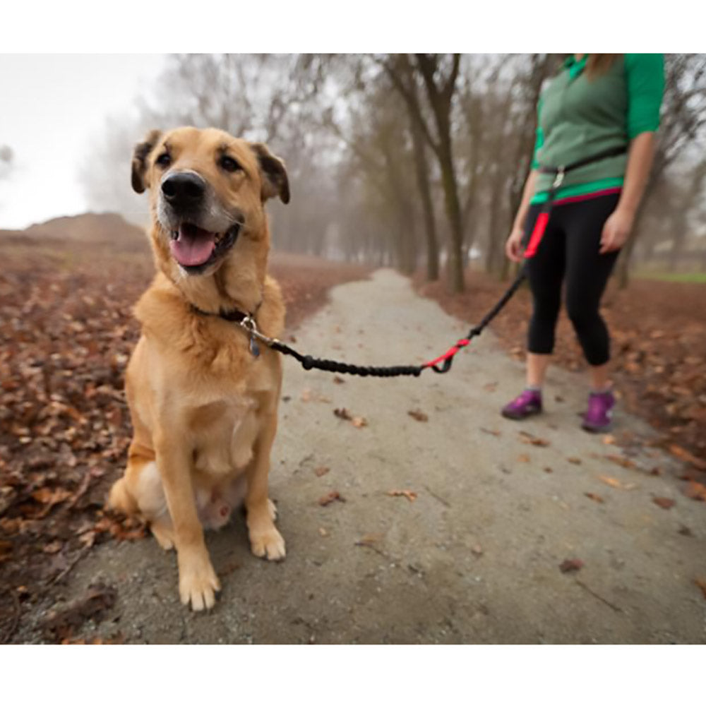 Runner&#39;s Choice Hands-Free Dog Leash (with Belt)