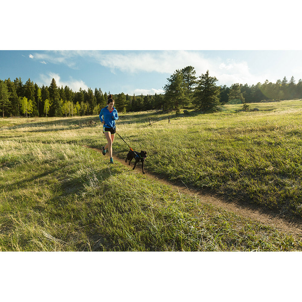 SideKick Hands-Free Dog Leash (with Belt)