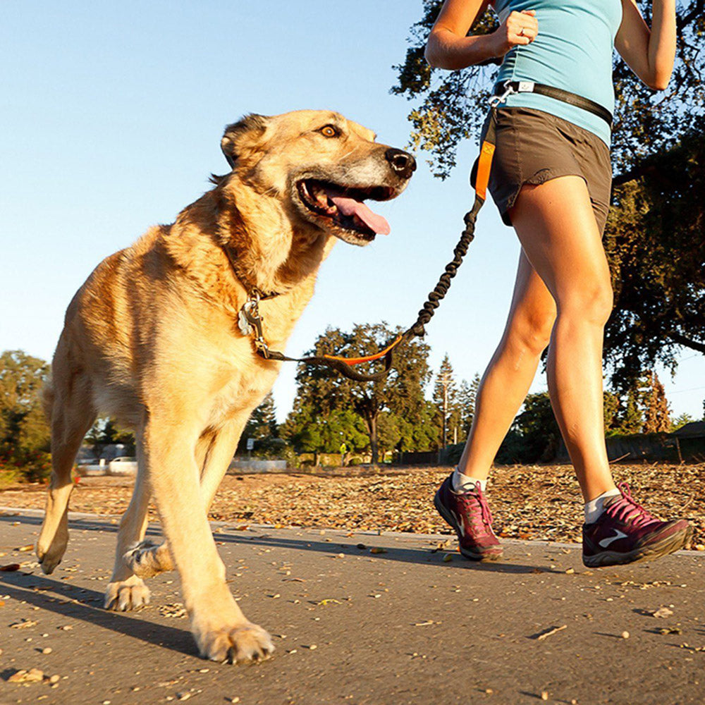 SideKick Hands-Free Dog Leash (with Belt)